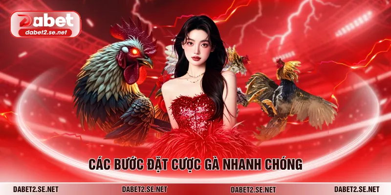 Các bước đặt cược gà nhanh chóng