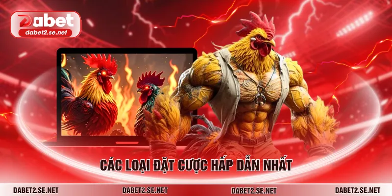 Các loại đặt cược hấp dẫn nhất