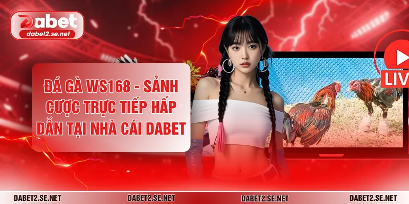 Đá Gà WS168 - Sảnh Cược Trực Tiếp Hấp Dẫn Tại Nhà Cái DABET