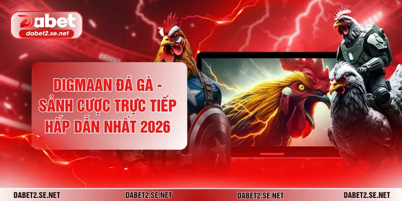 Digmaan Đá Gà - Sảnh Cược Trực Tiếp Hấp Dẫn Nhất 2026
