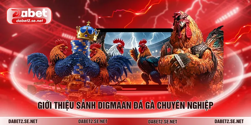 Giới thiệu sảnh Digmaan đá gà chuyên nghiệp