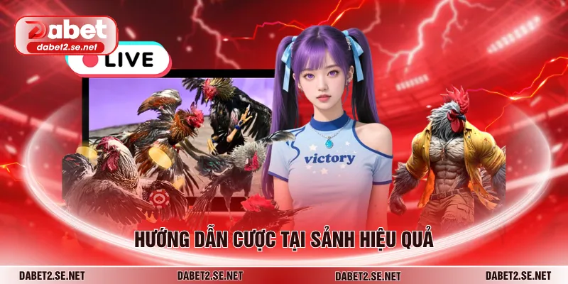 Hướng dẫn cược tại sảnh hiệu quả