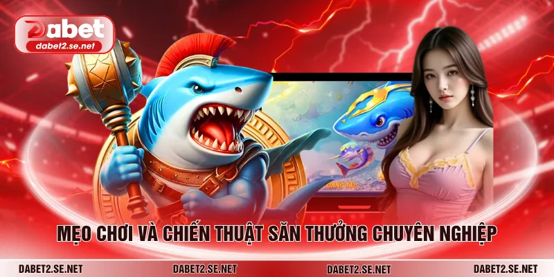 Mẹo chơi và chiến thuật săn thưởng chuyên nghiệp