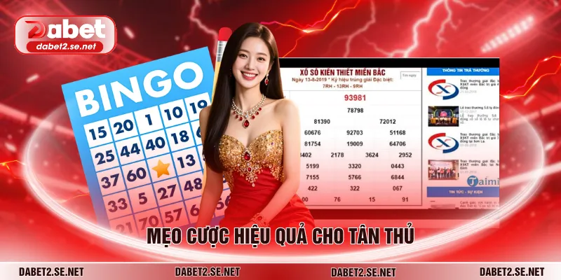 Mẹo cược hiệu quả cho tân thủ