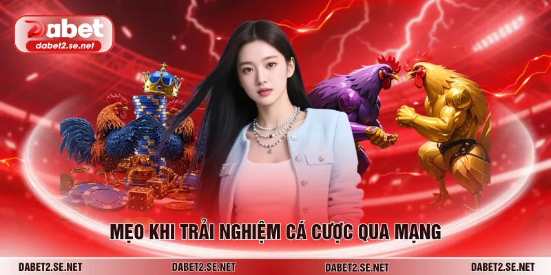 Mẹo khi trải nghiệm cá cược qua mạng