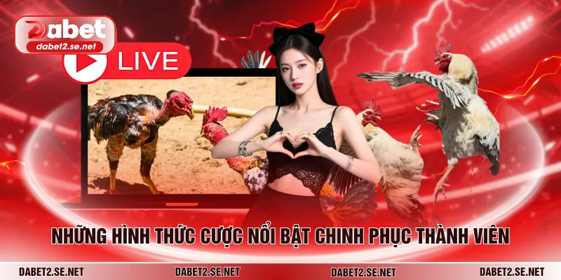 Những hình thức cược nổi bật chinh phục thành viên