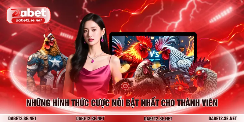Những hình thức cược nổi bật nhất cho thành viên