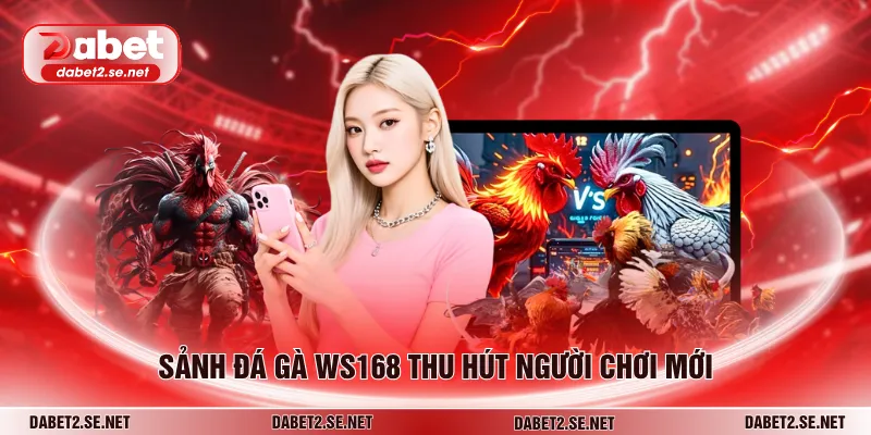 Sảnh đá gà WS168 thu hút người chơi mới
